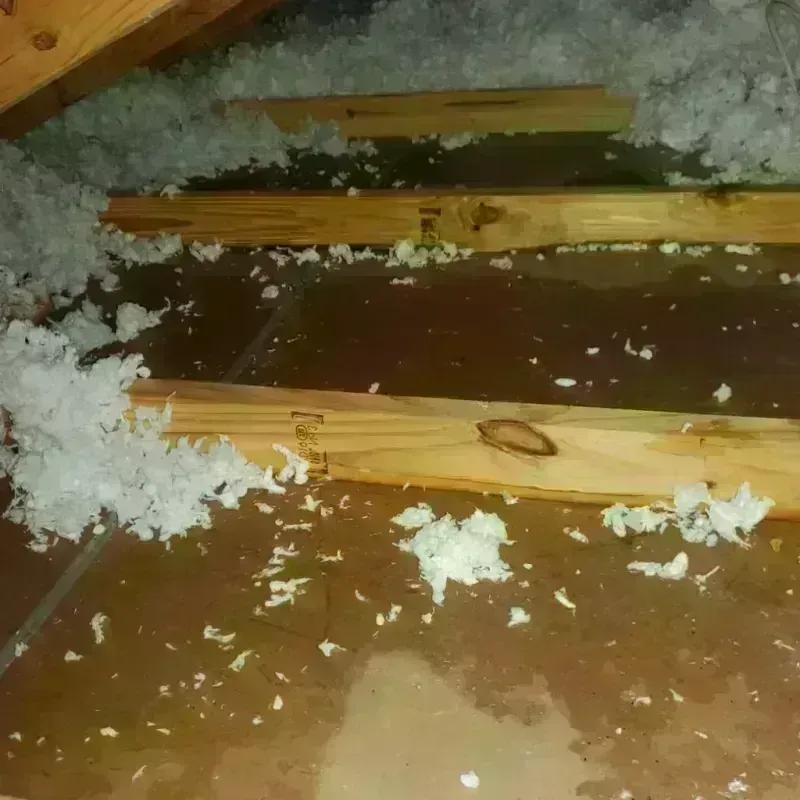 Attic Water Damage in Gove County, KS